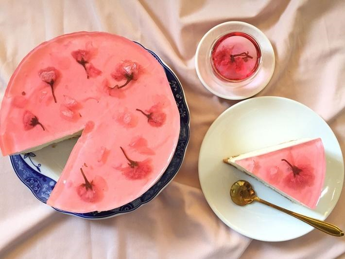 cheesecake hot hiện nay